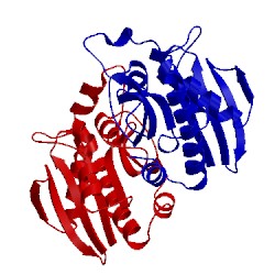 Image of CATH 4qt4