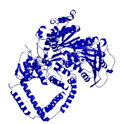 Image of CATH 4qu4