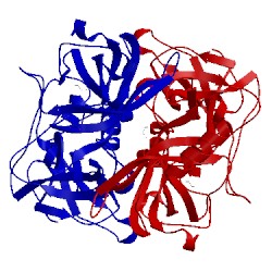 Image of CATH 4qv2