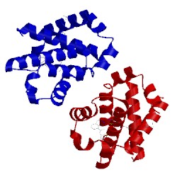 Image of CATH 4qvx