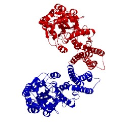 Image of CATH 4r0y