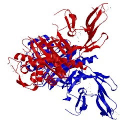 Image of CATH 4r1g