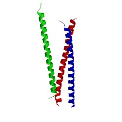 Image of CATH 4r4m