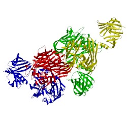 Image of CATH 4r4z