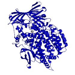 Image of CATH 4r5v