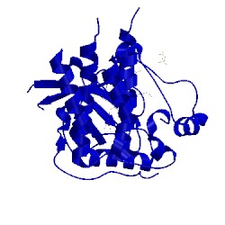 Image of CATH 4r6v