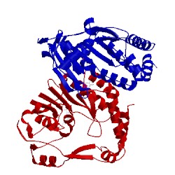 Image of CATH 4r8s