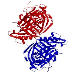 Image of CATH 4r8y