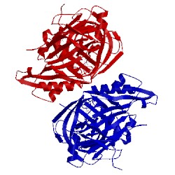 Image of CATH 4r92