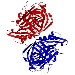 Image of CATH 4r95