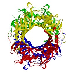 Image of CATH 4r99