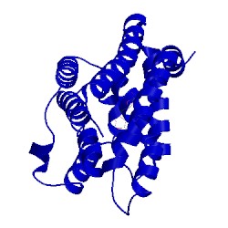 Image of CATH 4raj
