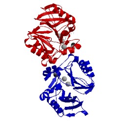 Image of CATH 4ram