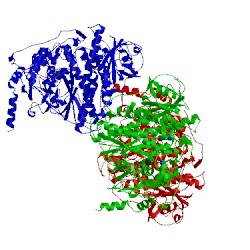 Image of CATH 4ras