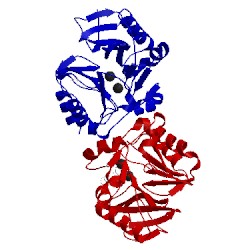 Image of CATH 4raw