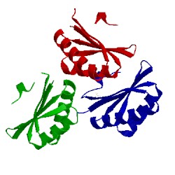 Image of CATH 4rbt
