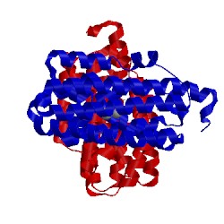 Image of CATH 4rc8