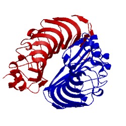 Image of CATH 4rcw