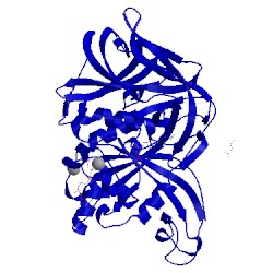 Image of CATH 4rd1