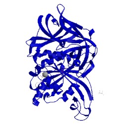 Image of CATH 4rd4
