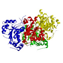 Image of CATH 4rdh