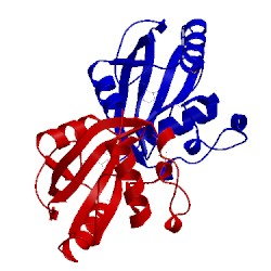 Image of CATH 4rdn