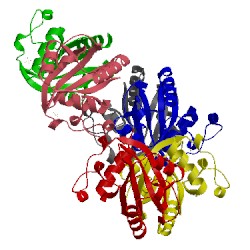 Image of CATH 4rdo