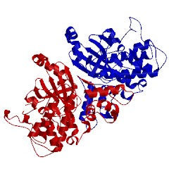 Image of CATH 4red
