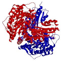 Image of CATH 4rf7