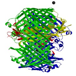 Image of CATH 4rhb