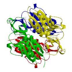Image of CATH 4rhy