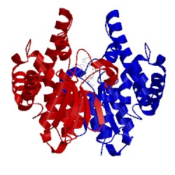 Image of CATH 4ri7