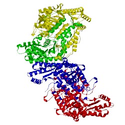 Image of CATH 4rj0