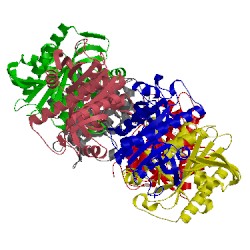 Image of CATH 4rj2