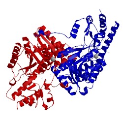 Image of CATH 4rkc