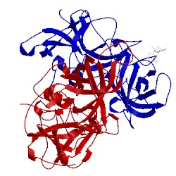 Image of CATH 4rm0