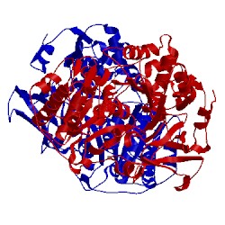Image of CATH 4rm2