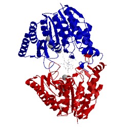 Image of CATH 4rn0