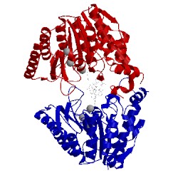 Image of CATH 4rn2