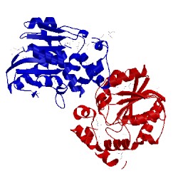 Image of CATH 4rpc