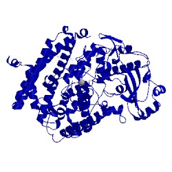 Image of CATH 4rpe