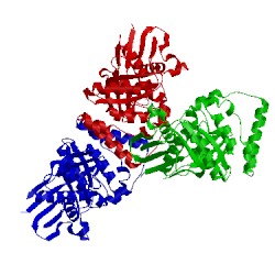 Image of CATH 4rpf