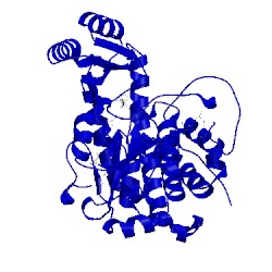 Image of CATH 4rpm