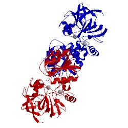 Image of CATH 4rqu