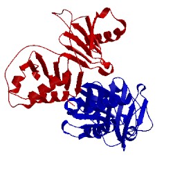 Image of CATH 4rs6