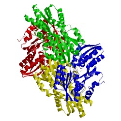 Image of CATH 4rsm