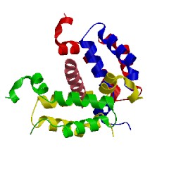 Image of CATH 4rt4