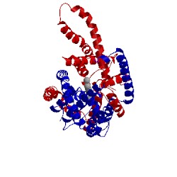 Image of CATH 4ruf