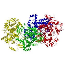 Image of CATH 4rut