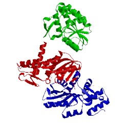 Image of CATH 4rv4